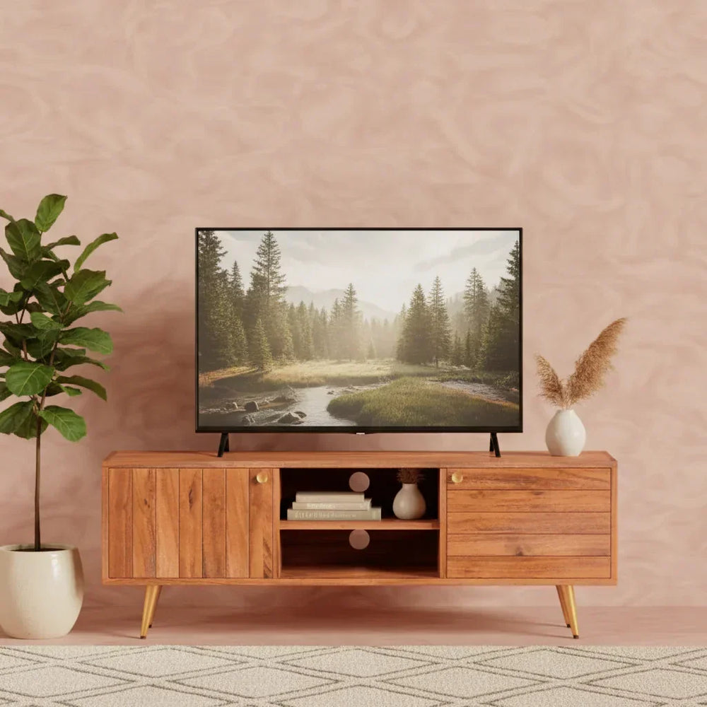 TV Unit